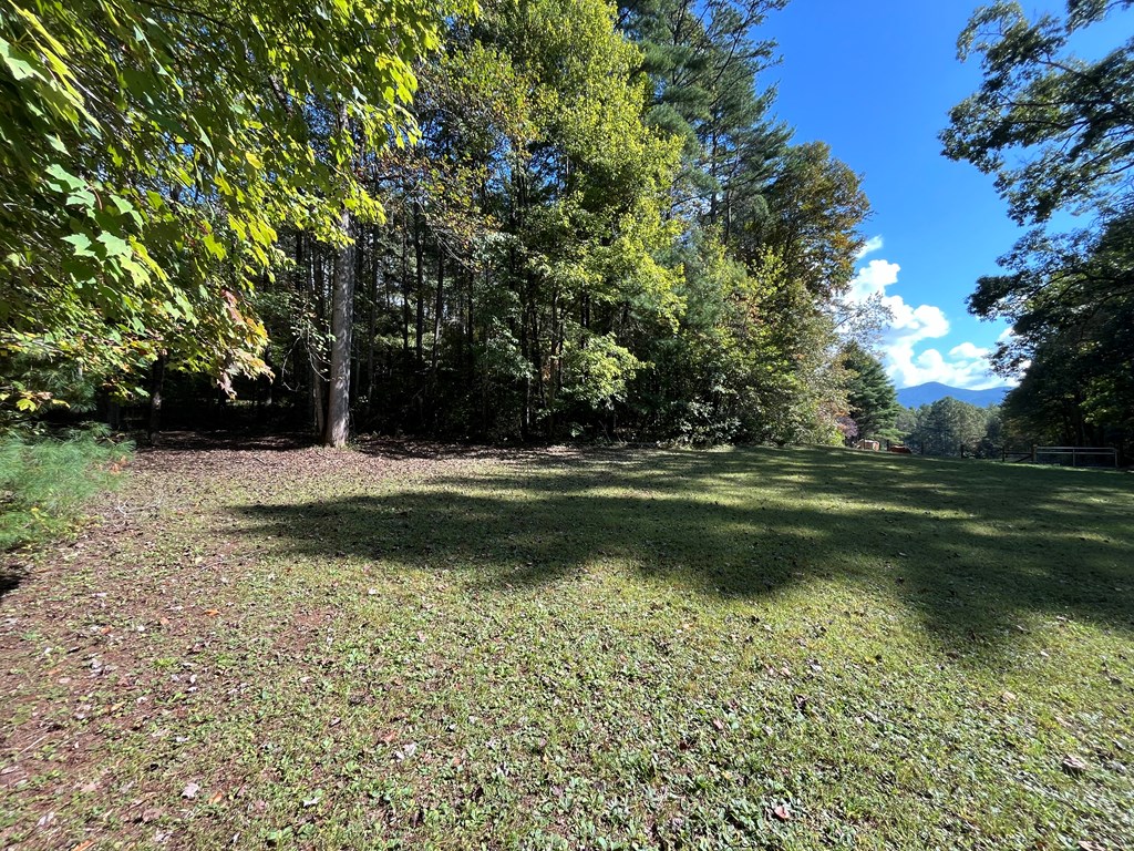 10977 Beaver Dam Road Murphy, NC 28906 - Photo 26 of 29 Gallery Image 26