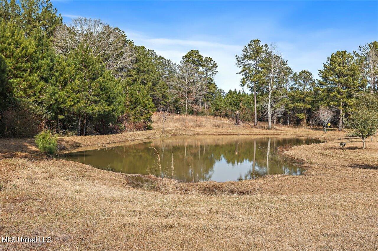 176 Jeff Alexander Road Mendenhall, MS 39114 - Photo 52 of 61 53-176 Jeff Alexander Rd