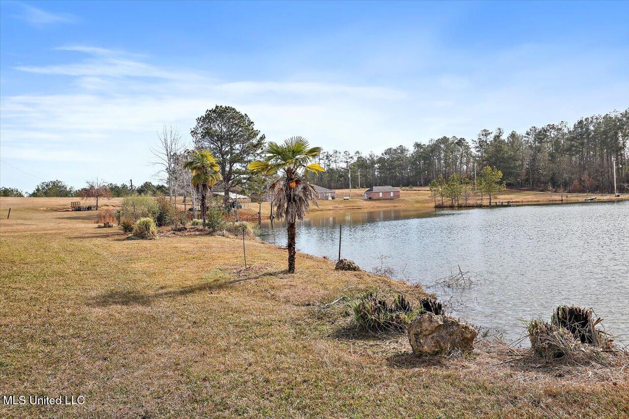 176 Jeff Alexander Road Mendenhall, MS 39114 - Photo 53 of 61 54-176 Jeff Alexander Rd
