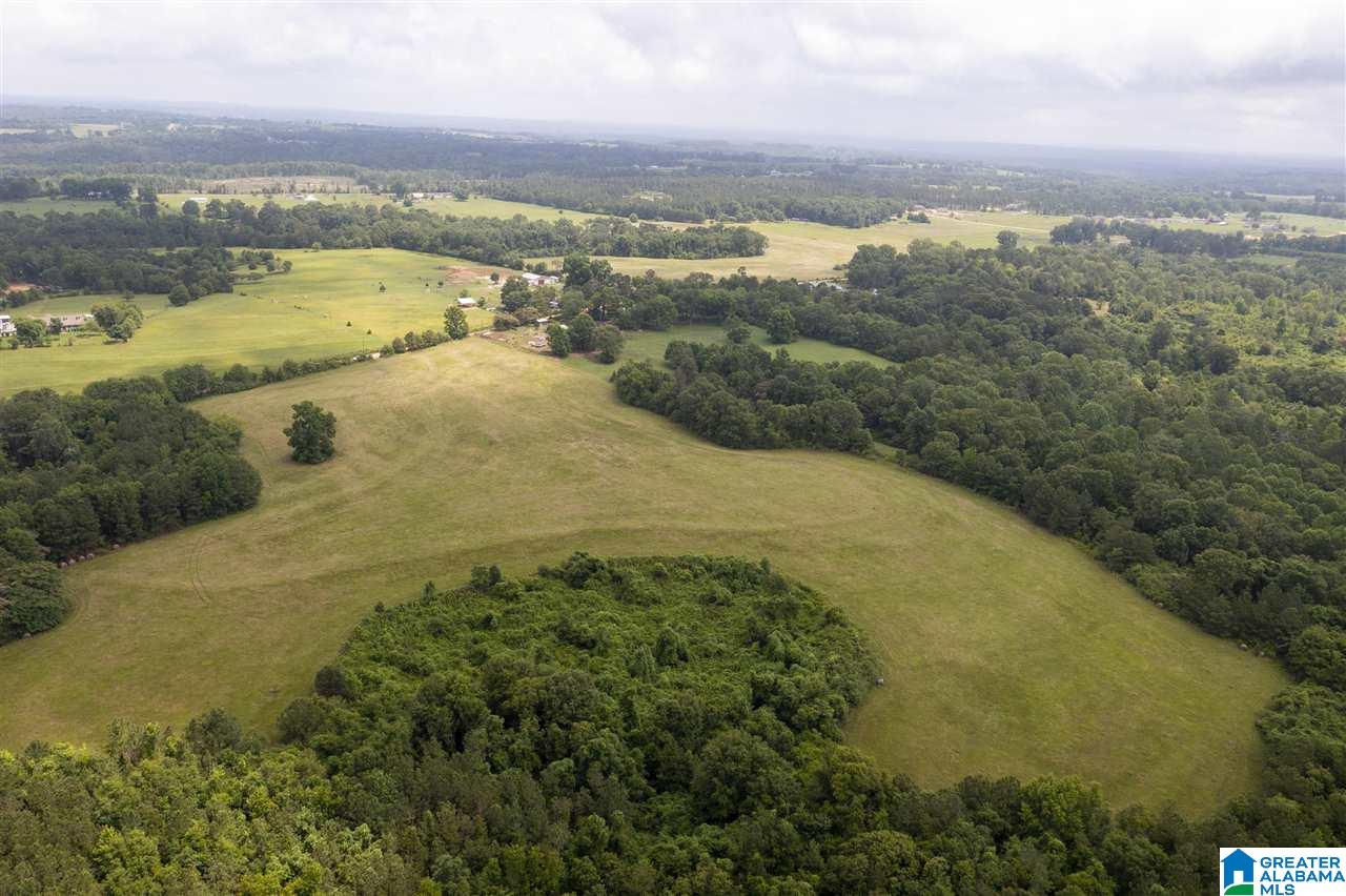 0 County Road 368 Verbena, AL 36091 - Photo 8 of 13