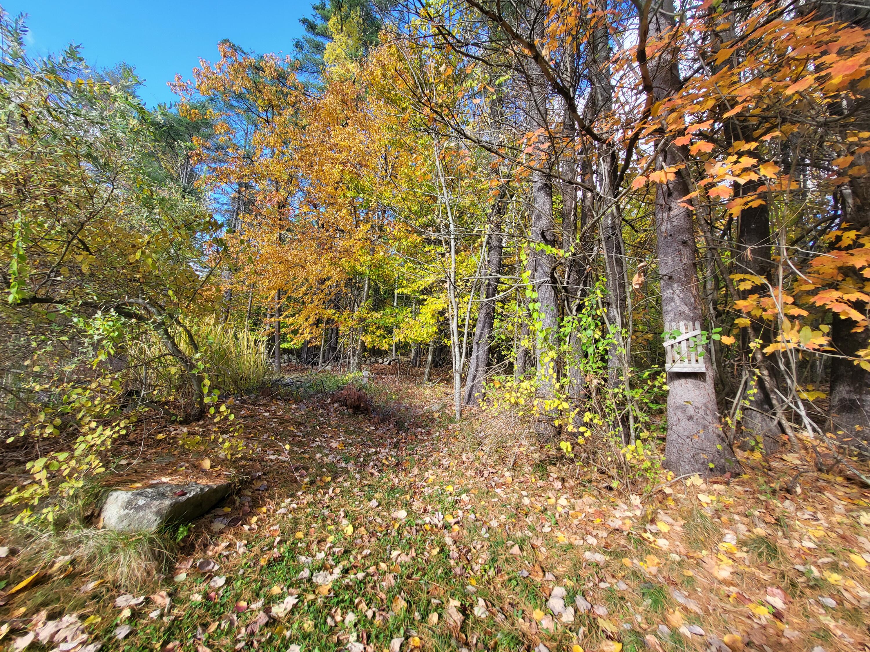 144 West Main Street Greene, ME 04236 - Photo 49 of 50 20251021_143538