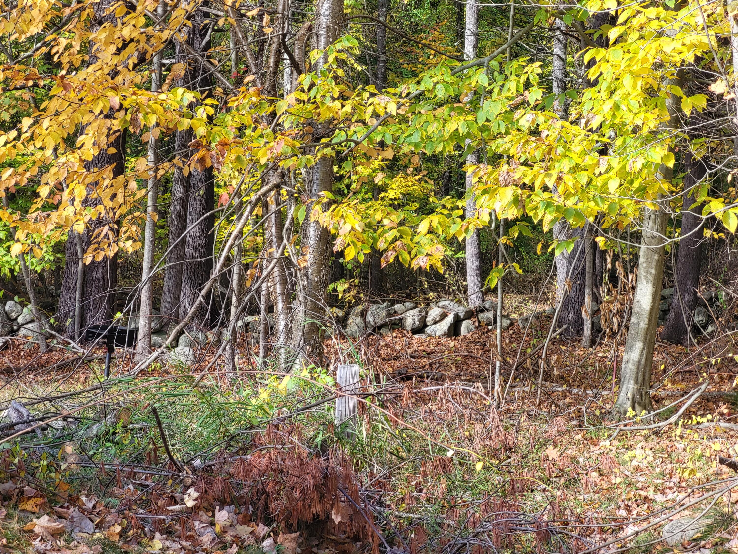 144 West Main Street Greene, ME 04236 - Photo 50 of 50 20251021_143545