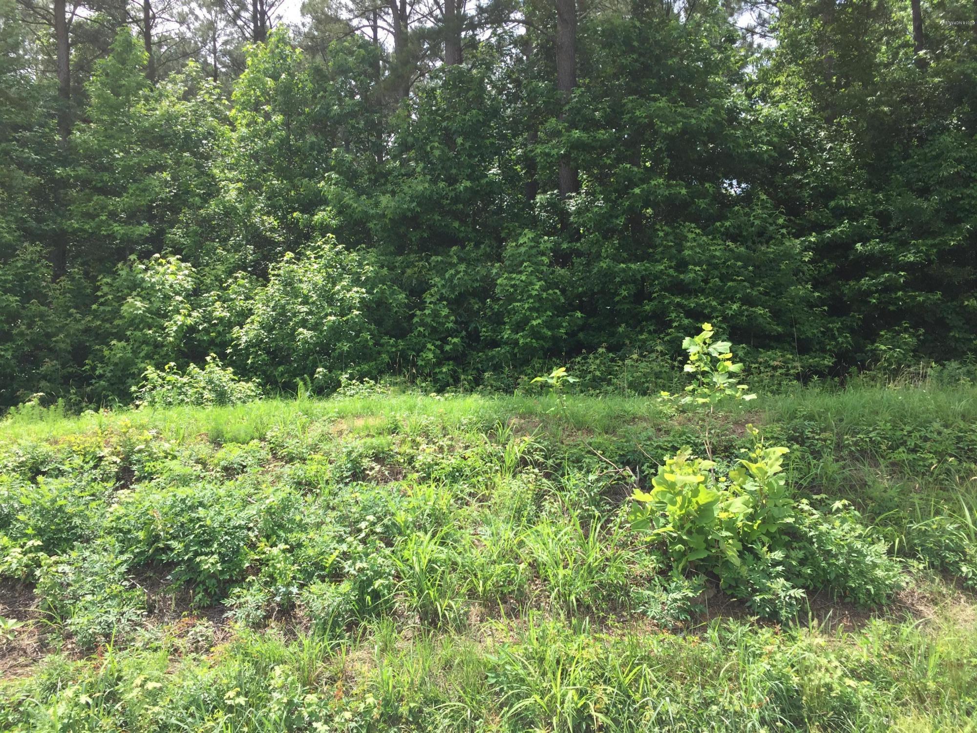 7814 Bailey Road Bailey, NC 27807 - Photo 1 of 1 7814 Bailey Rd