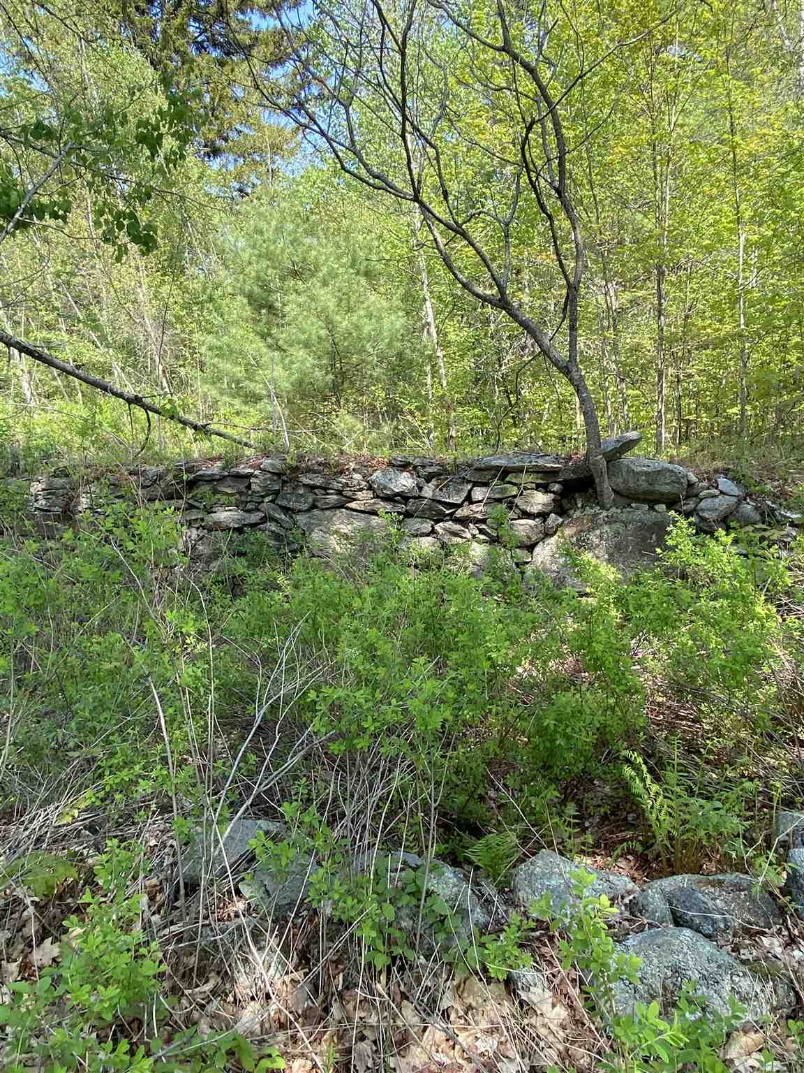 510 Dero Road Goshen, NH 03752 - Photo 11 of 22 Gallery Image 11