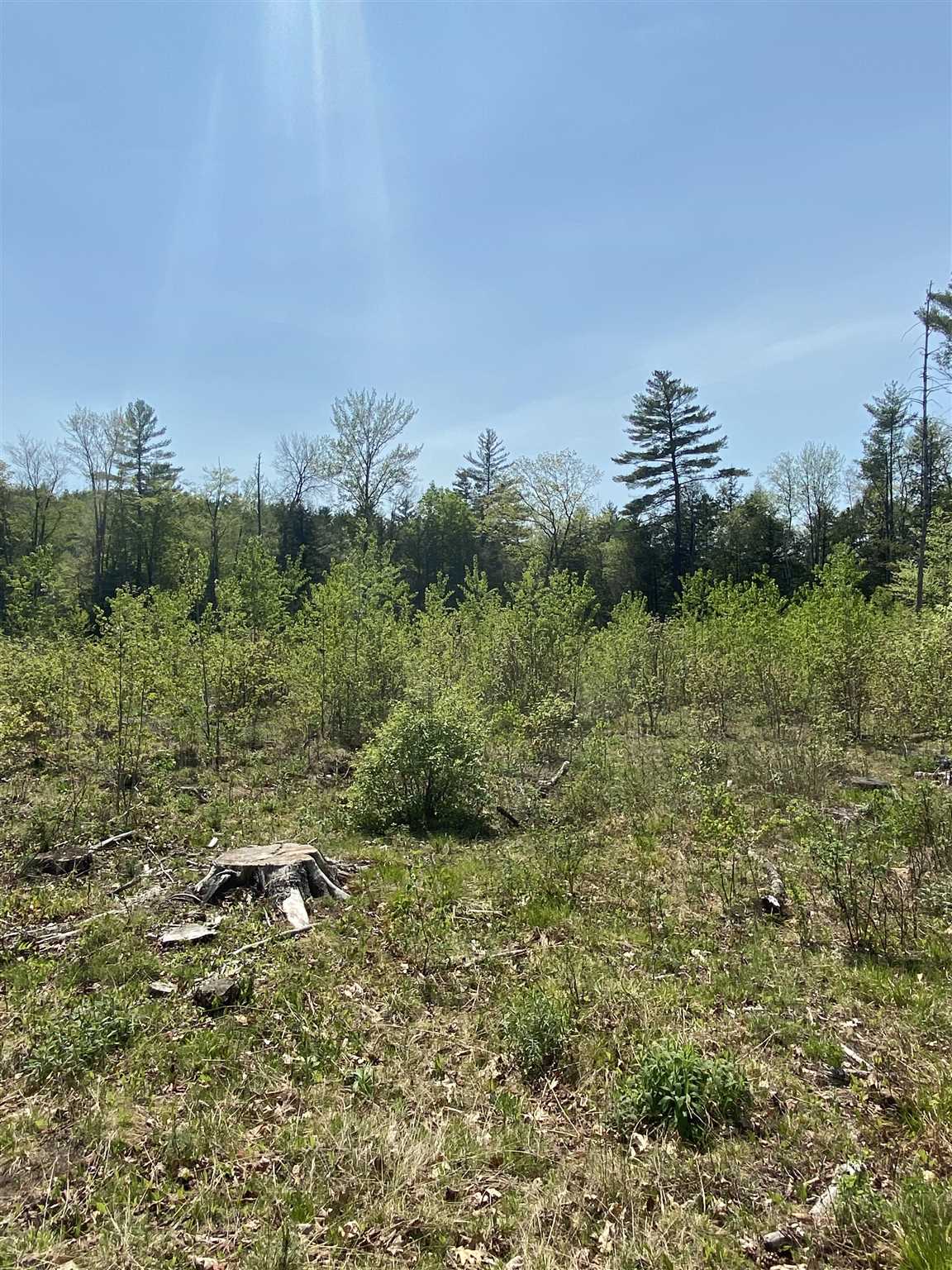 510 Dero Road Goshen, NH 03752 - Photo 14 of 22 Gallery Image 14
