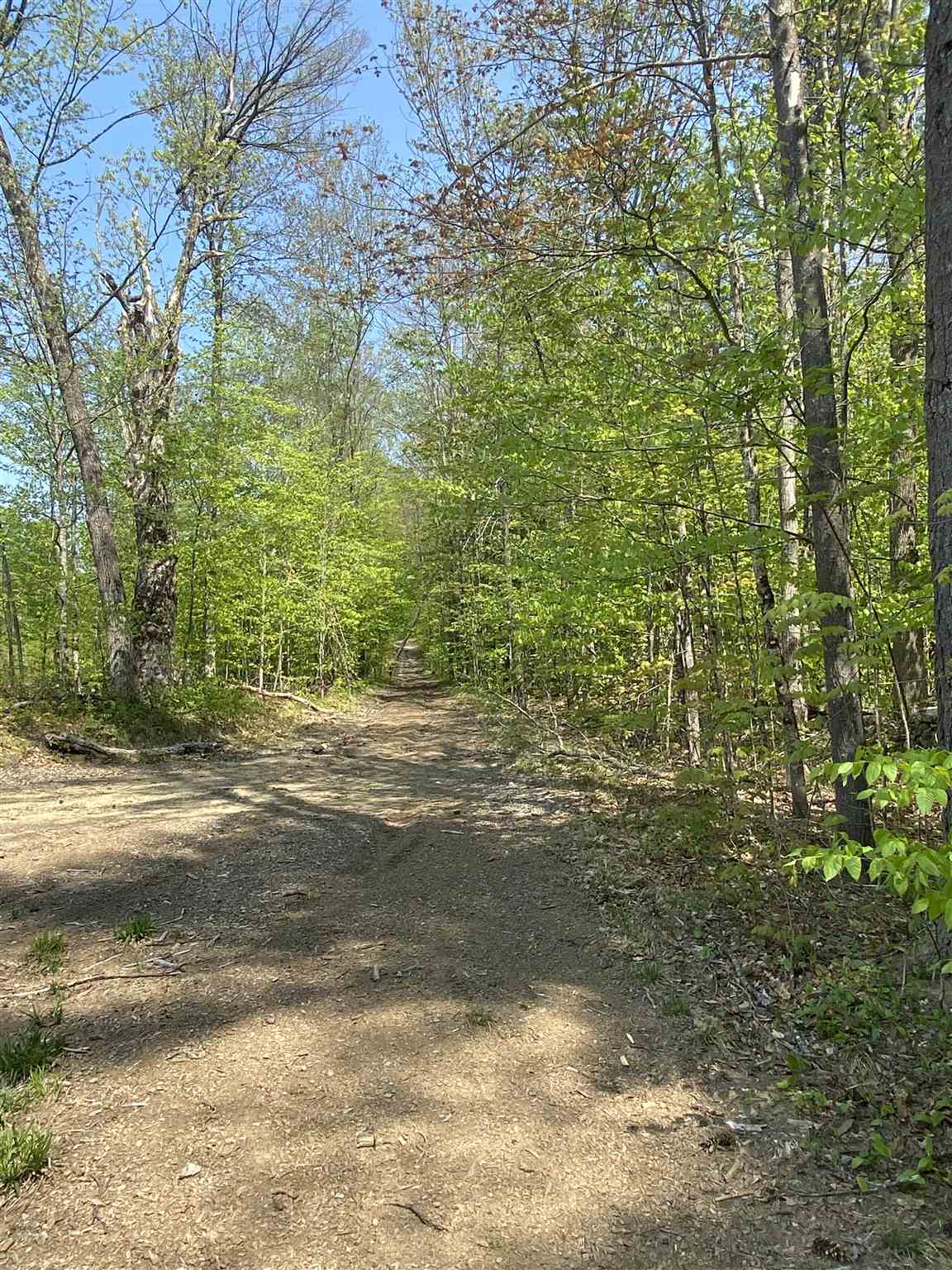 510 Dero Road Goshen, NH 03752 - Photo 16 of 22 Gallery Image 16