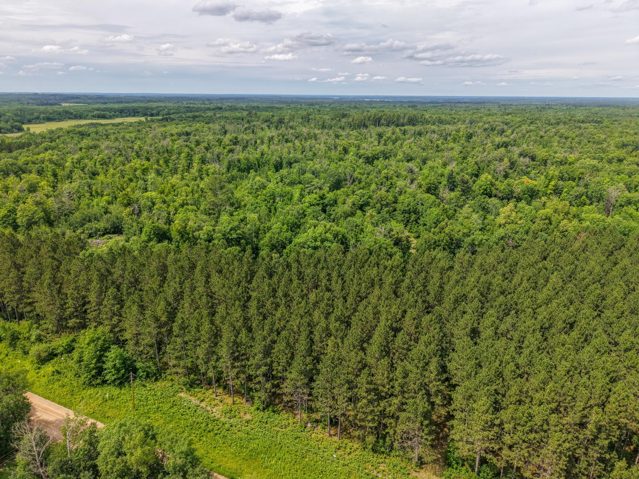 80-acres Pike Bay Loop Road Northwest Cass Lake, MN 56633 - Photo 4 of 27