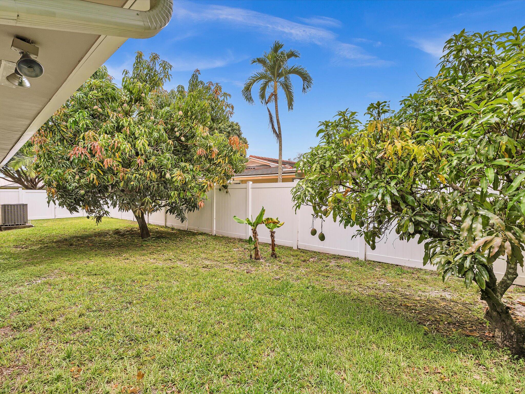 7381 Southwest 9th Street Plantation, FL 33317 - Photo 54 of 62 Mango Banana Ackee Trees