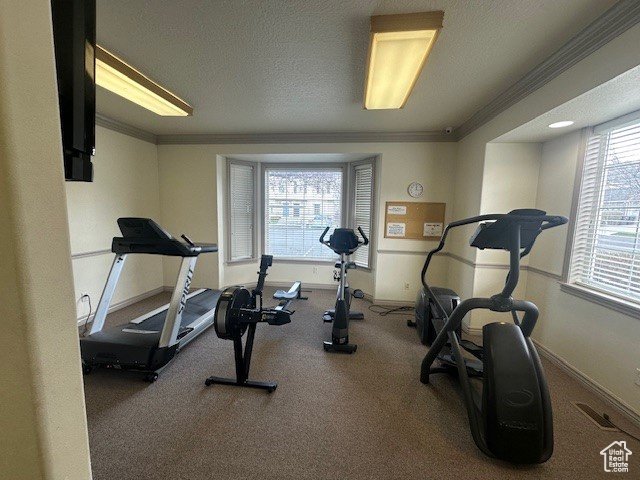 964 Independence Avenue Provo, UT 84604 - Photo 33 of 35 Weight Room