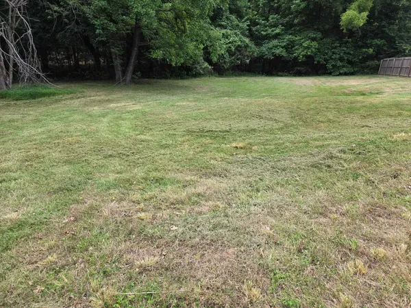 a view of a field with a tree