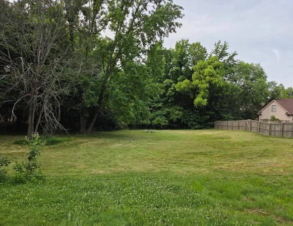 a view of a yard