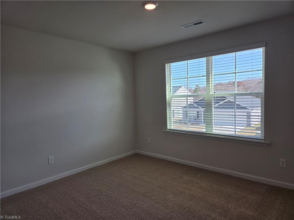 170 Chessie Road Mocksville, NC 27028 - Photo 20 of 24