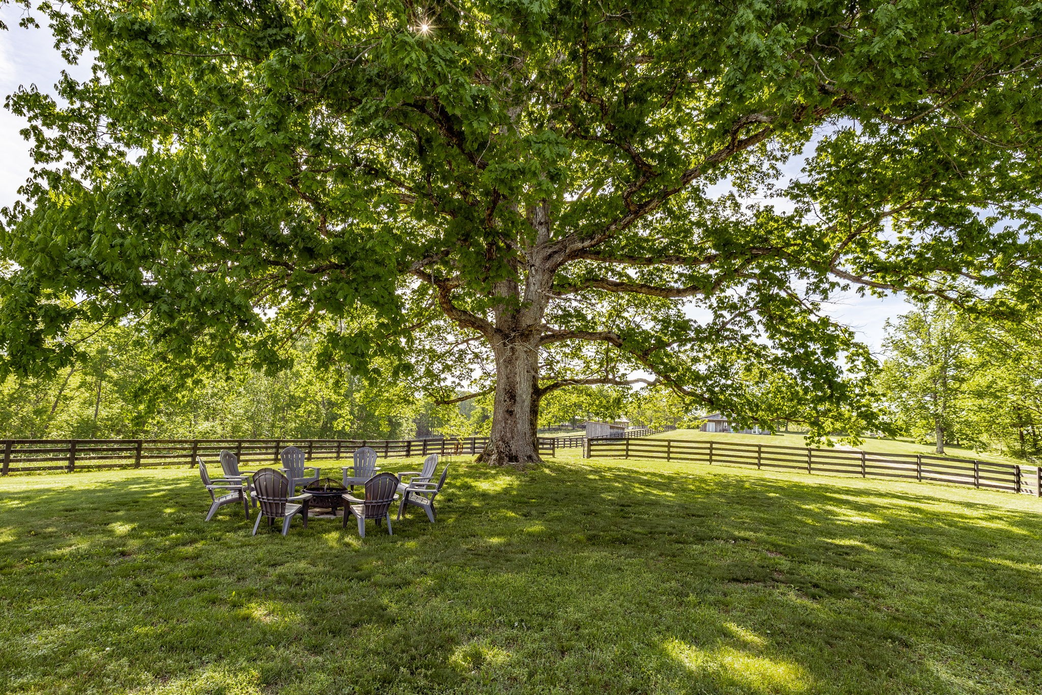 8137 Shoals Branch Road Primm Springs, TN 38476 - Photo 48 of 81