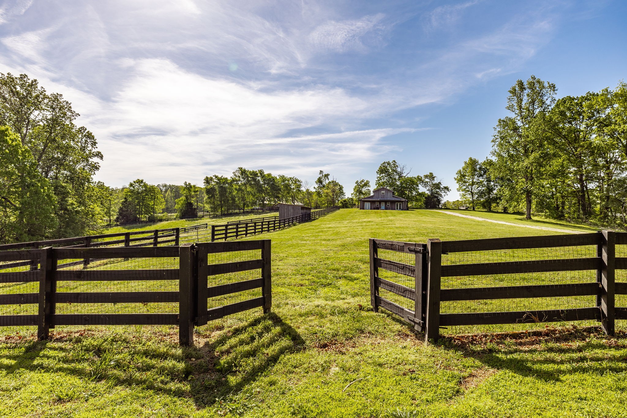 8137 Shoals Branch Road Primm Springs, TN 38476 - Photo 52 of 81