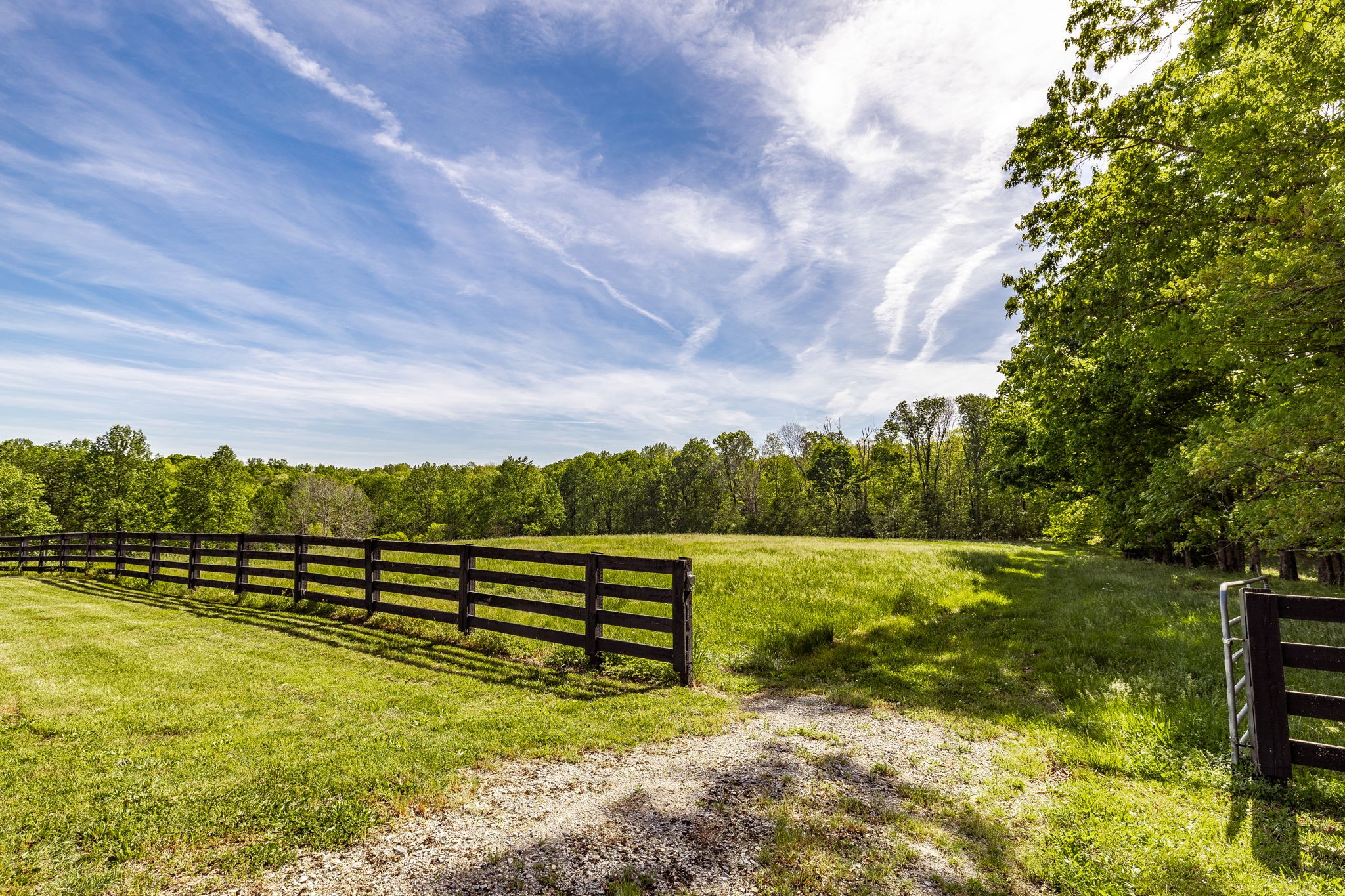 8137 Shoals Branch Road Primm Springs, TN 38476 - Photo 76 of 81