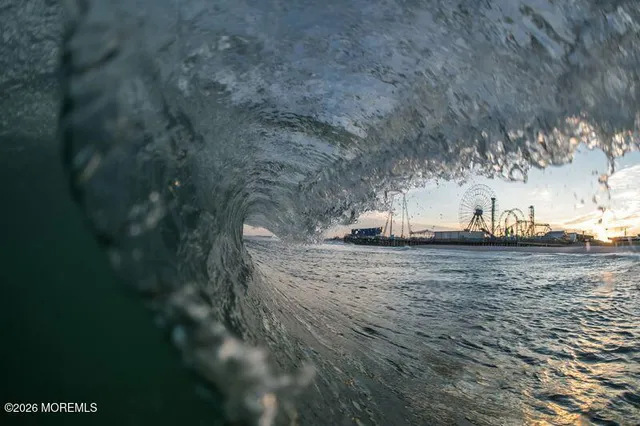a view of back yard of the house