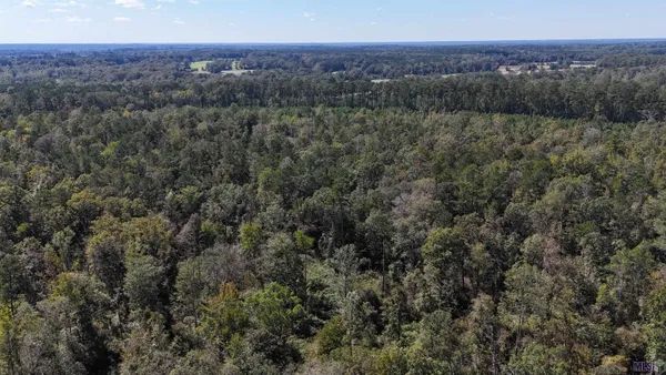 $762,000 | 63 Clinton La, Clinton, LA 70722