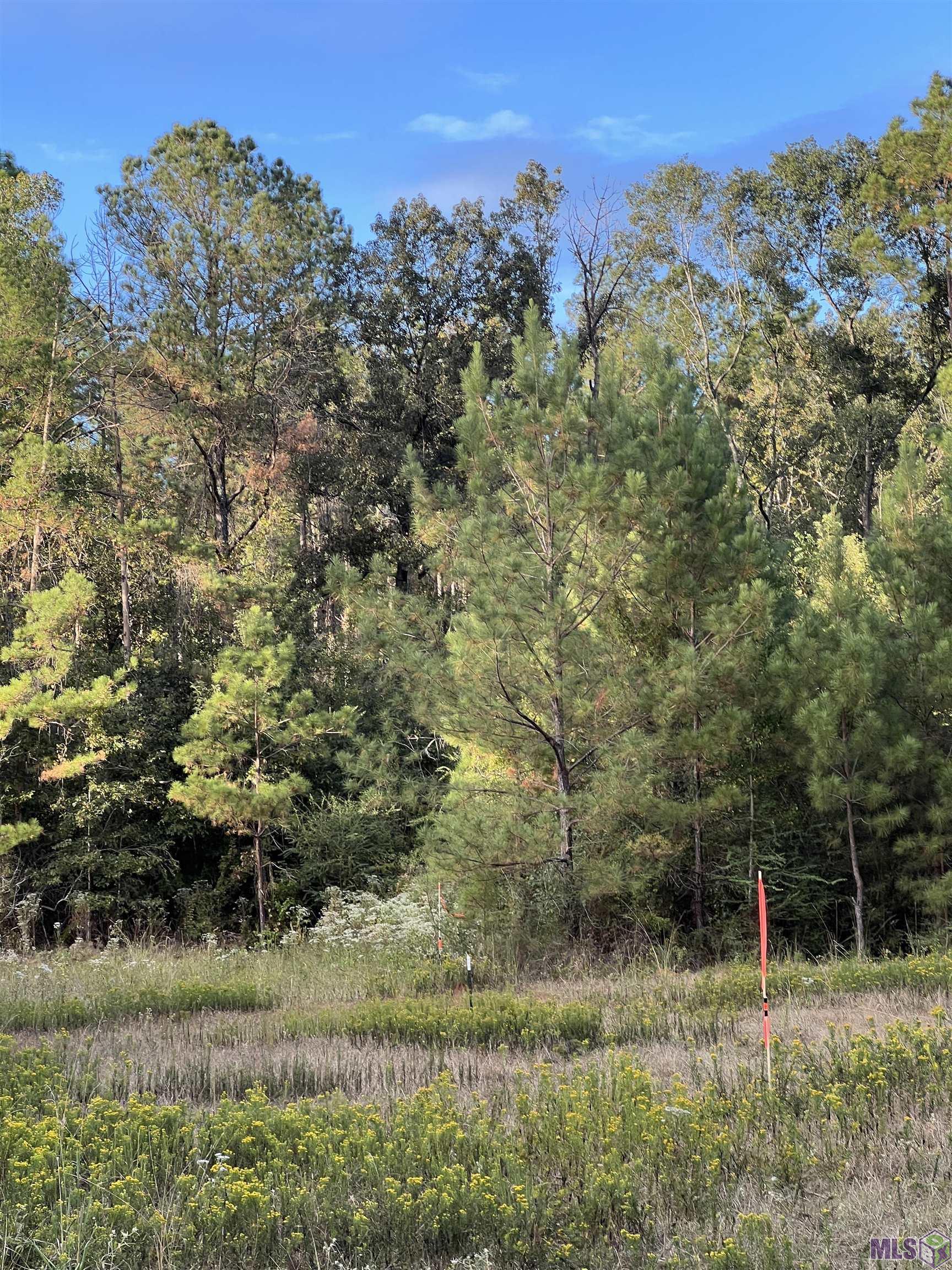 63 Clinton La Clinton, LA 70722 - Photo 3 of 10