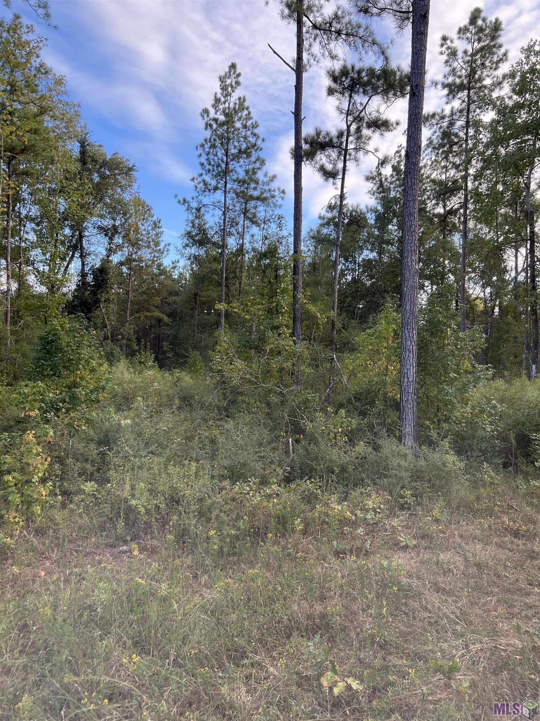 63 Clinton La Clinton, LA 70722 - Photo 5 of 10