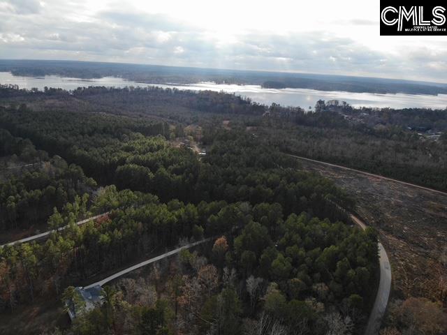 Lot 104 Pineland Road Chappells, SC 29037 - Photo 20 of 25