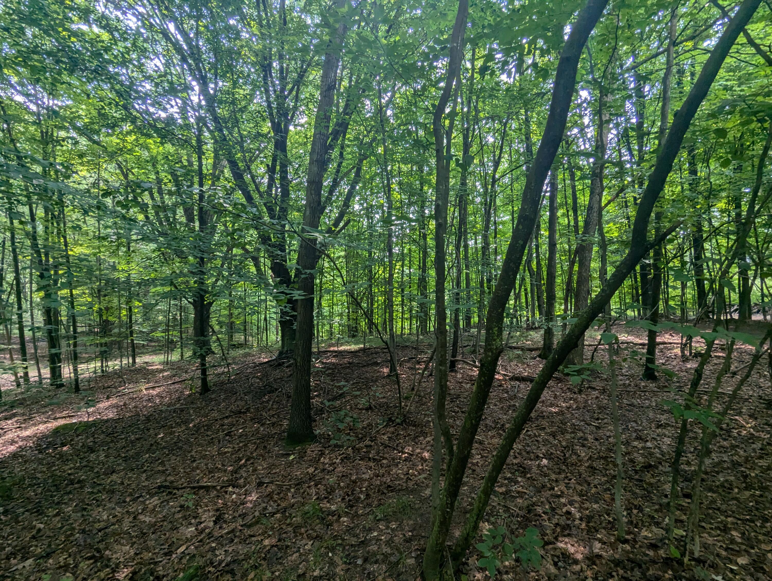4995 East Buck Rub Road, Unit 119 Custer, MI 49405 - Photo 11 of 18 PXL_20240730_165845336