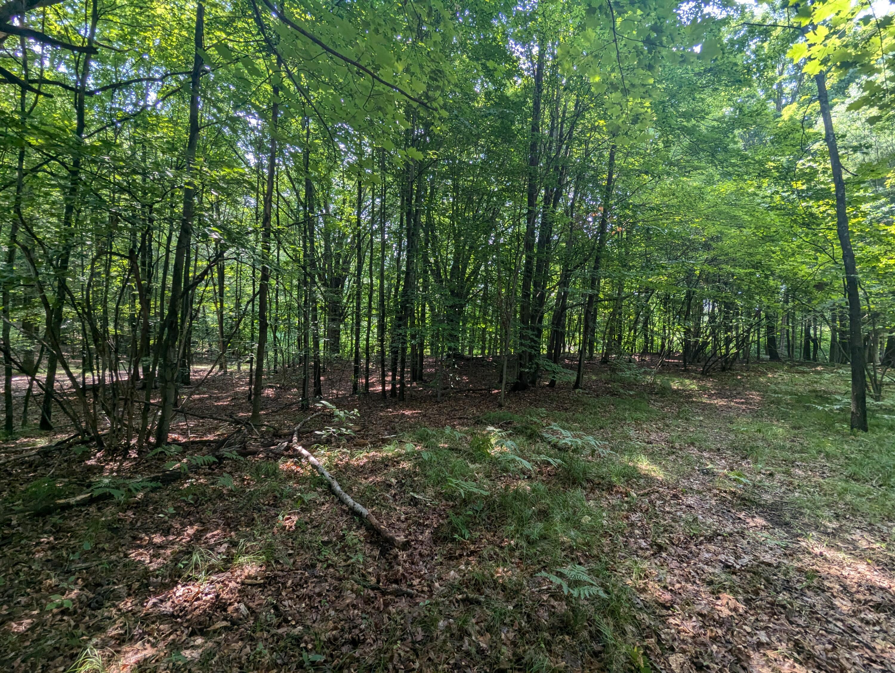 4995 East Buck Rub Road, Unit 119 Custer, MI 49405 - Photo 12 of 18 PXL_20240730_165817964