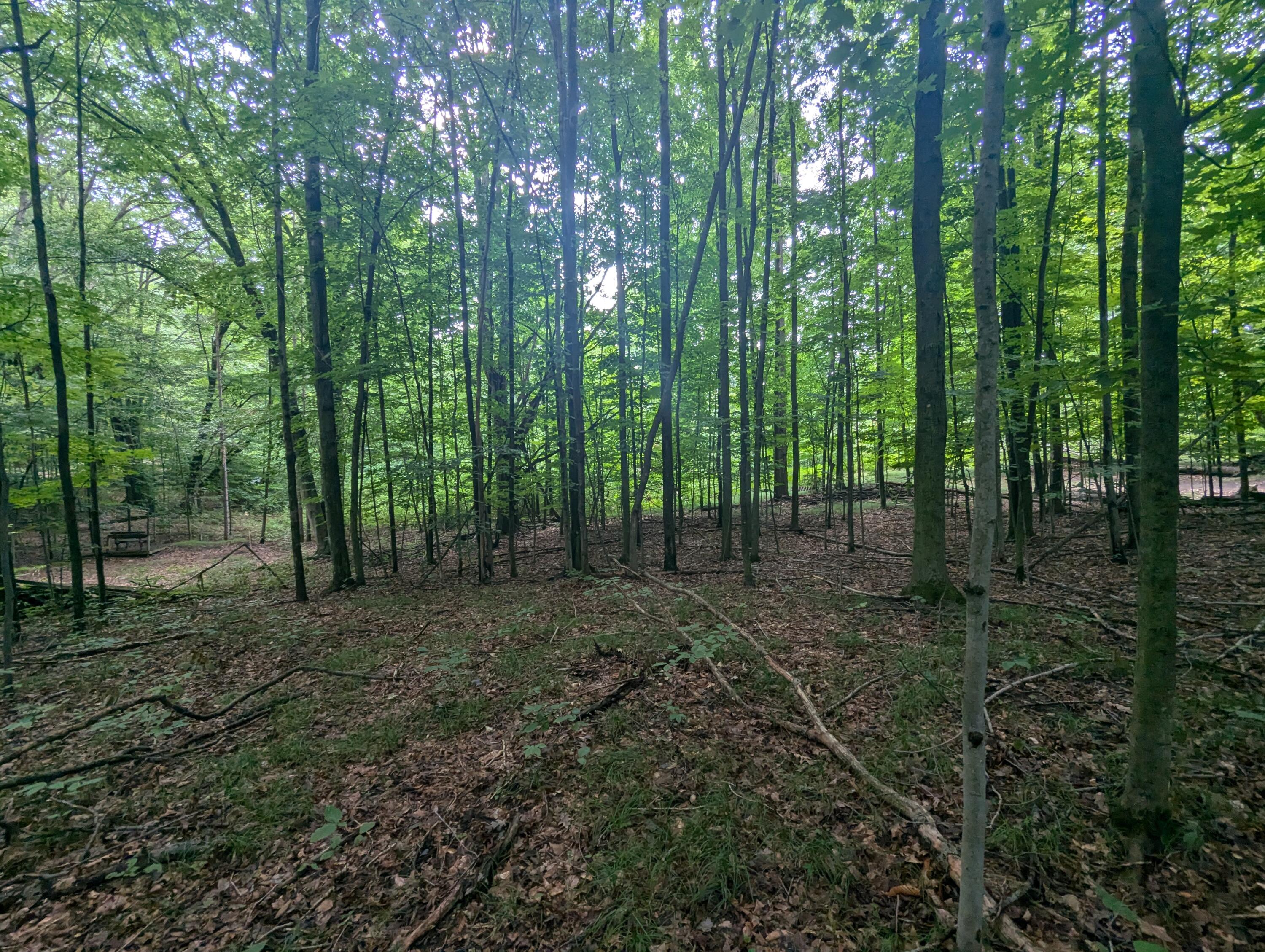 4995 East Buck Rub Road, Unit 119 Custer, MI 49405 - Photo 13 of 18 PXL_20240730_165916066