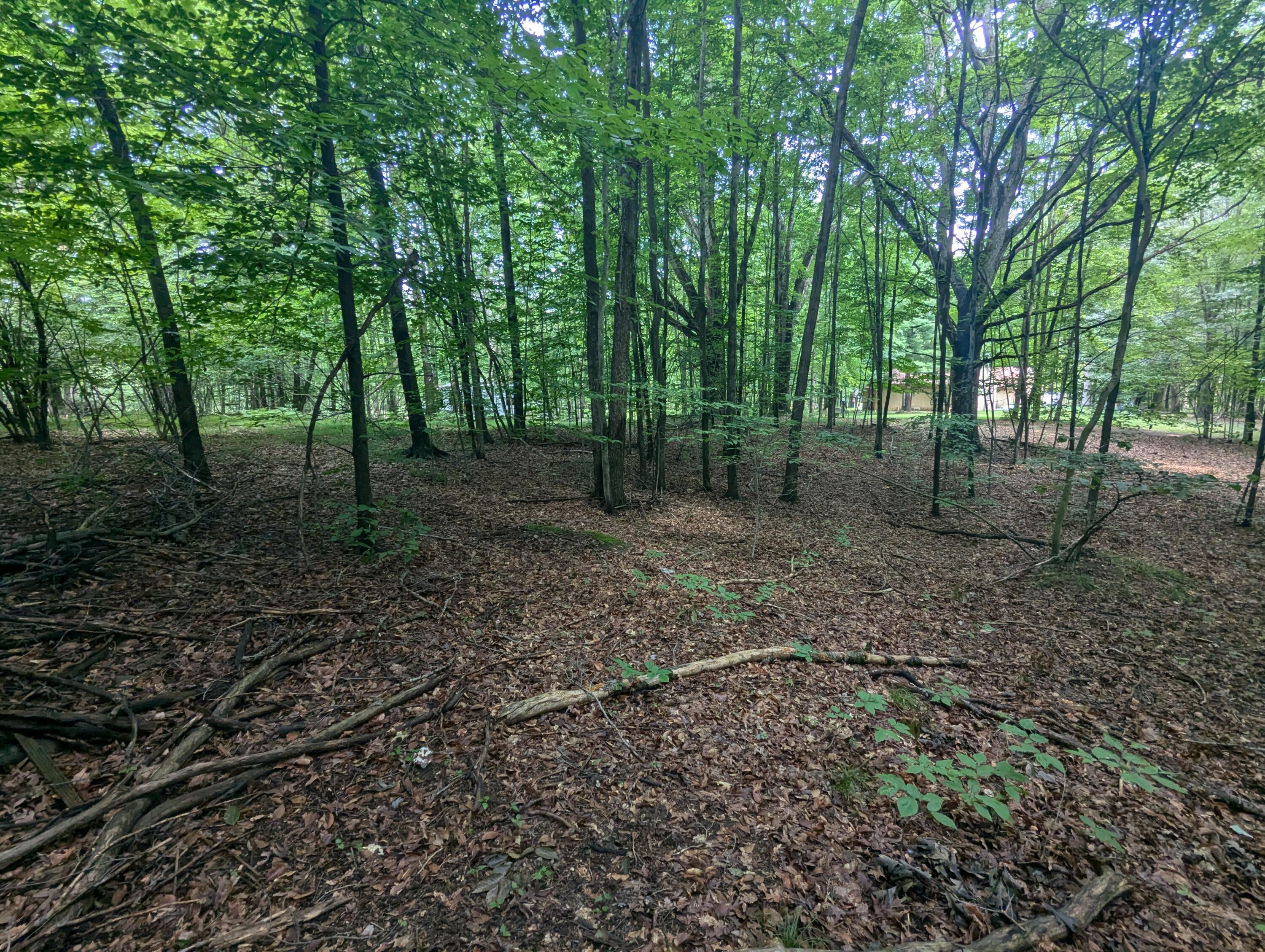 4995 East Buck Rub Road, Unit 119 Custer, MI 49405 - Photo 14 of 18 PXL_20240730_165934953