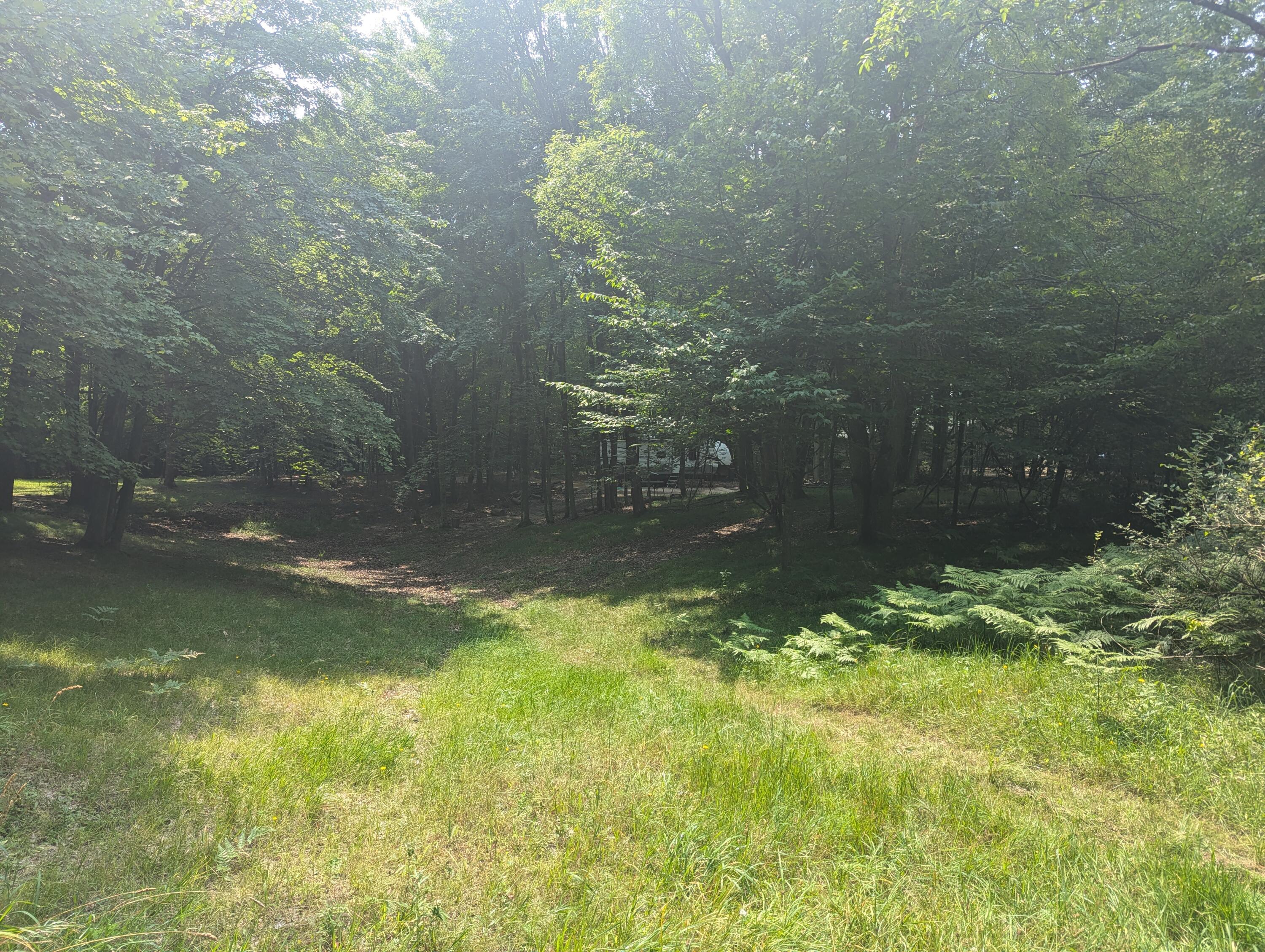 4995 East Buck Rub Road, Unit 119 Custer, MI 49405 - Photo 17 of 18 PXL_20240730_165430685
