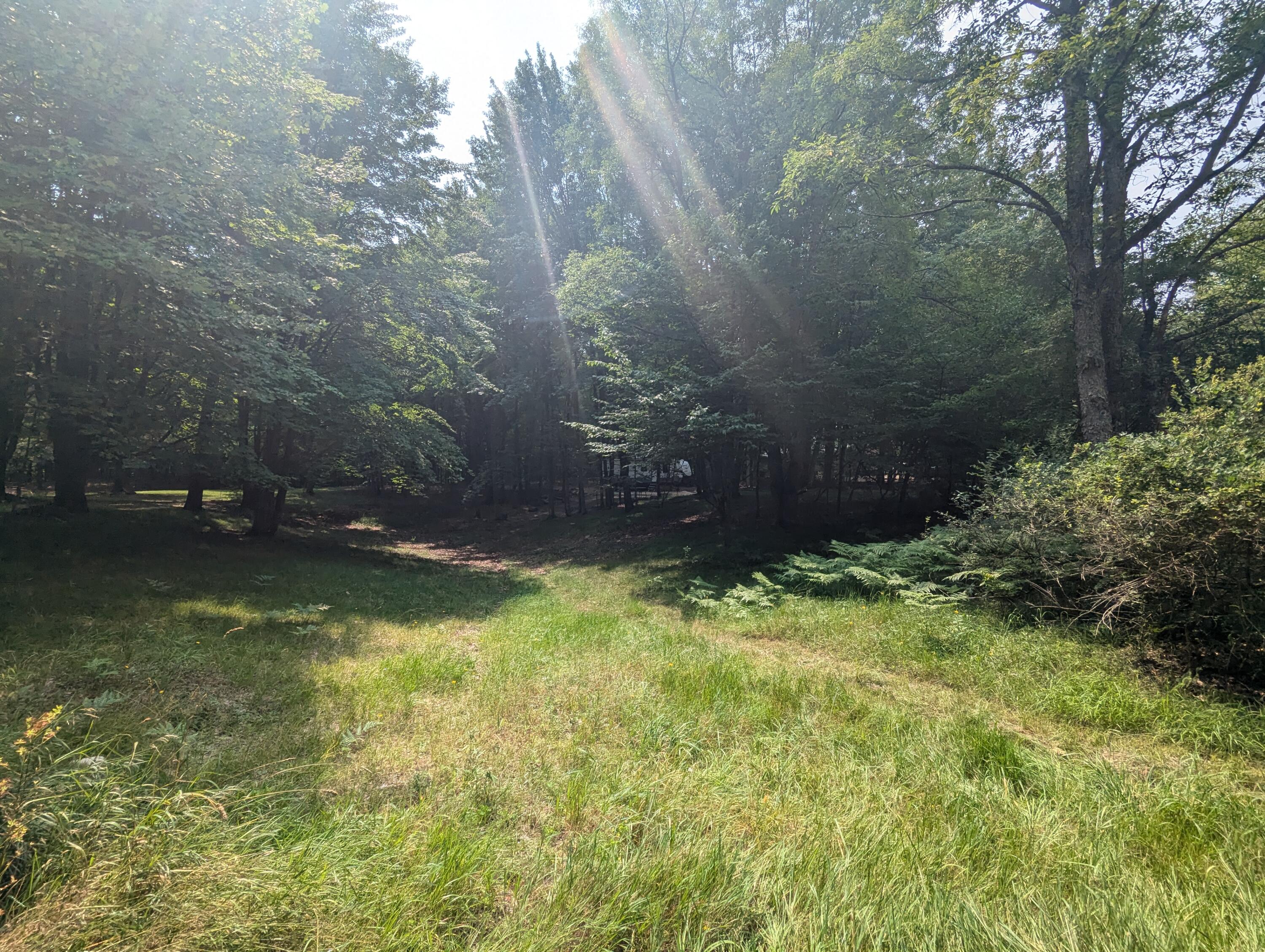 4995 East Buck Rub Road, Unit 119 Custer, MI 49405 - Photo 3 of 18 PXL_20240730_165435608