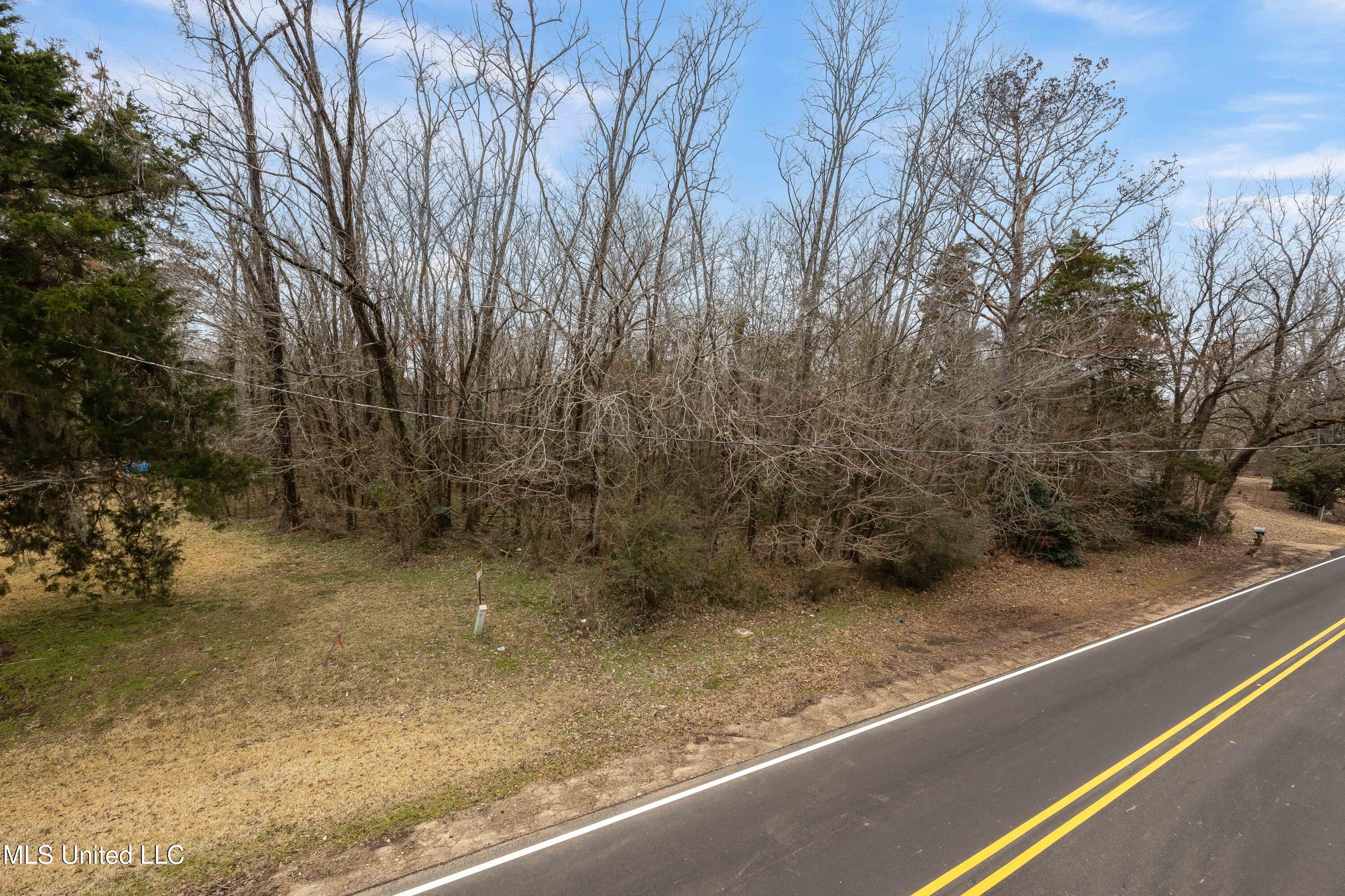 0 Halls Ferry Road Vicksburg, MS 39180 - Photo 2 of 7 EOSR7497-Edit