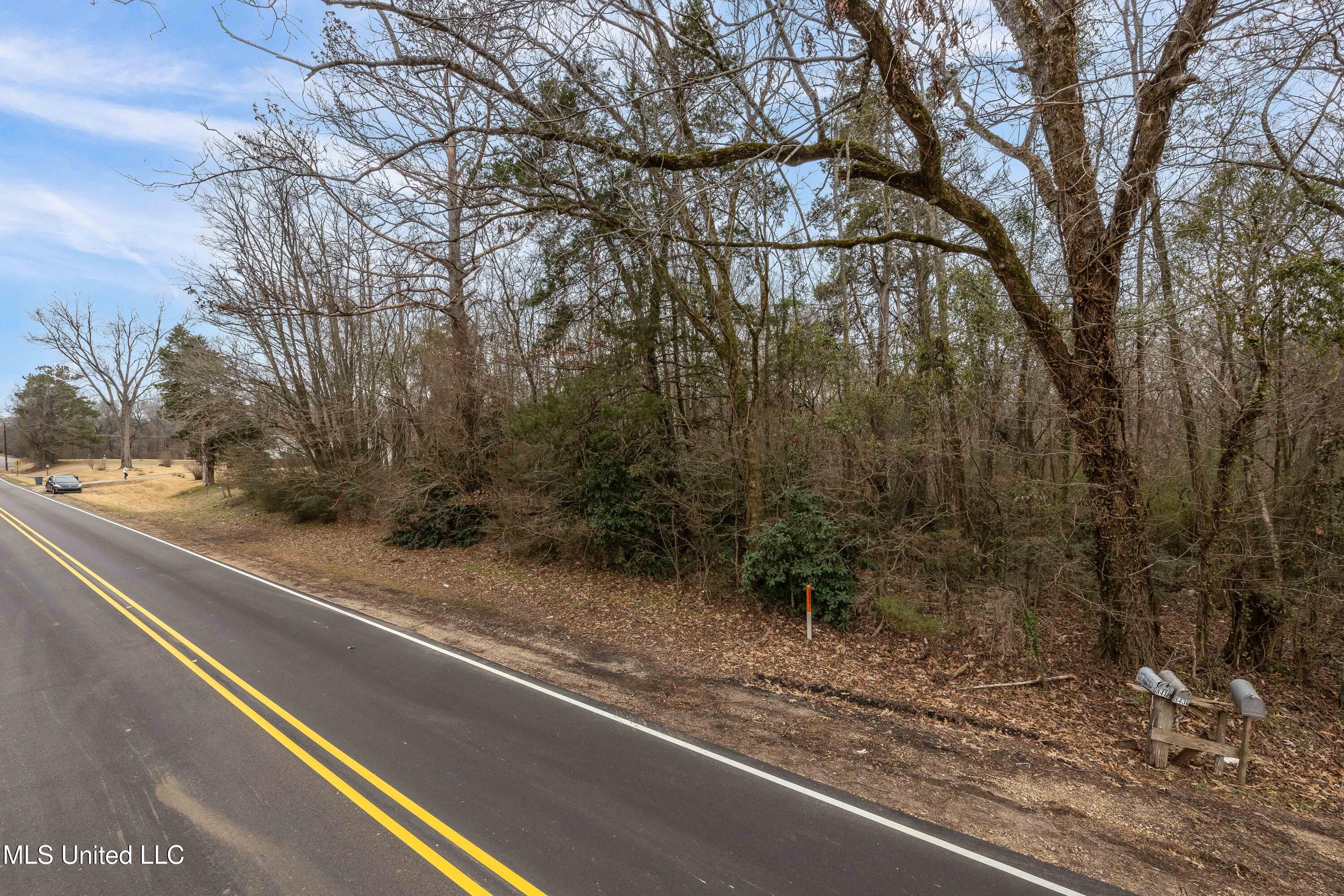 0 Halls Ferry Road Vicksburg, MS 39180 - Photo 4 of 7 EOSR7501-Edit