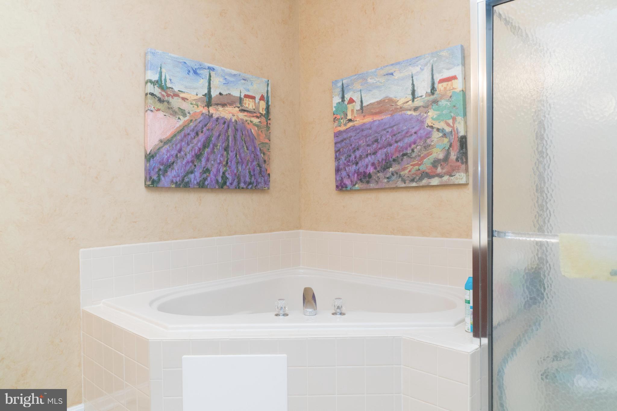 2015 Colgate Circle Forest Hill, MD 21050 - Photo 16 of 30 Bath (Master)