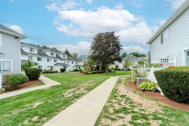 a view of a park with many windows