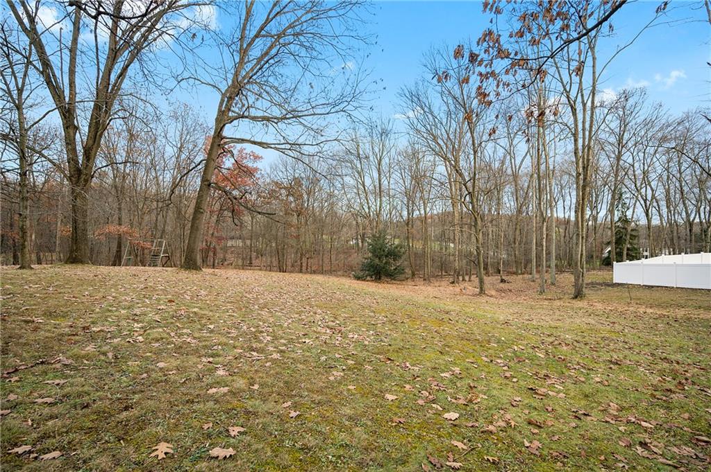 125 Lovi Road Baden, PA 15005 - Photo 2 of 25 a backyard of a house