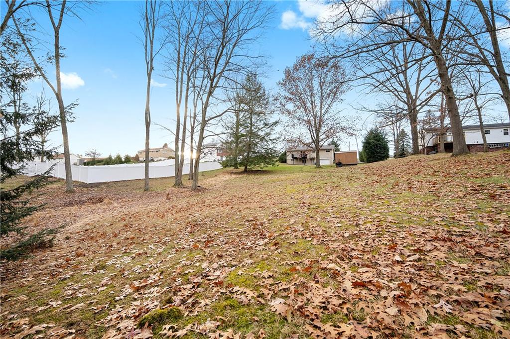 125 Lovi Road Baden, PA 15005 - Photo 23 of 25 a view of a yard with trees