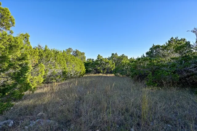 a view of a green field with lots of bushes