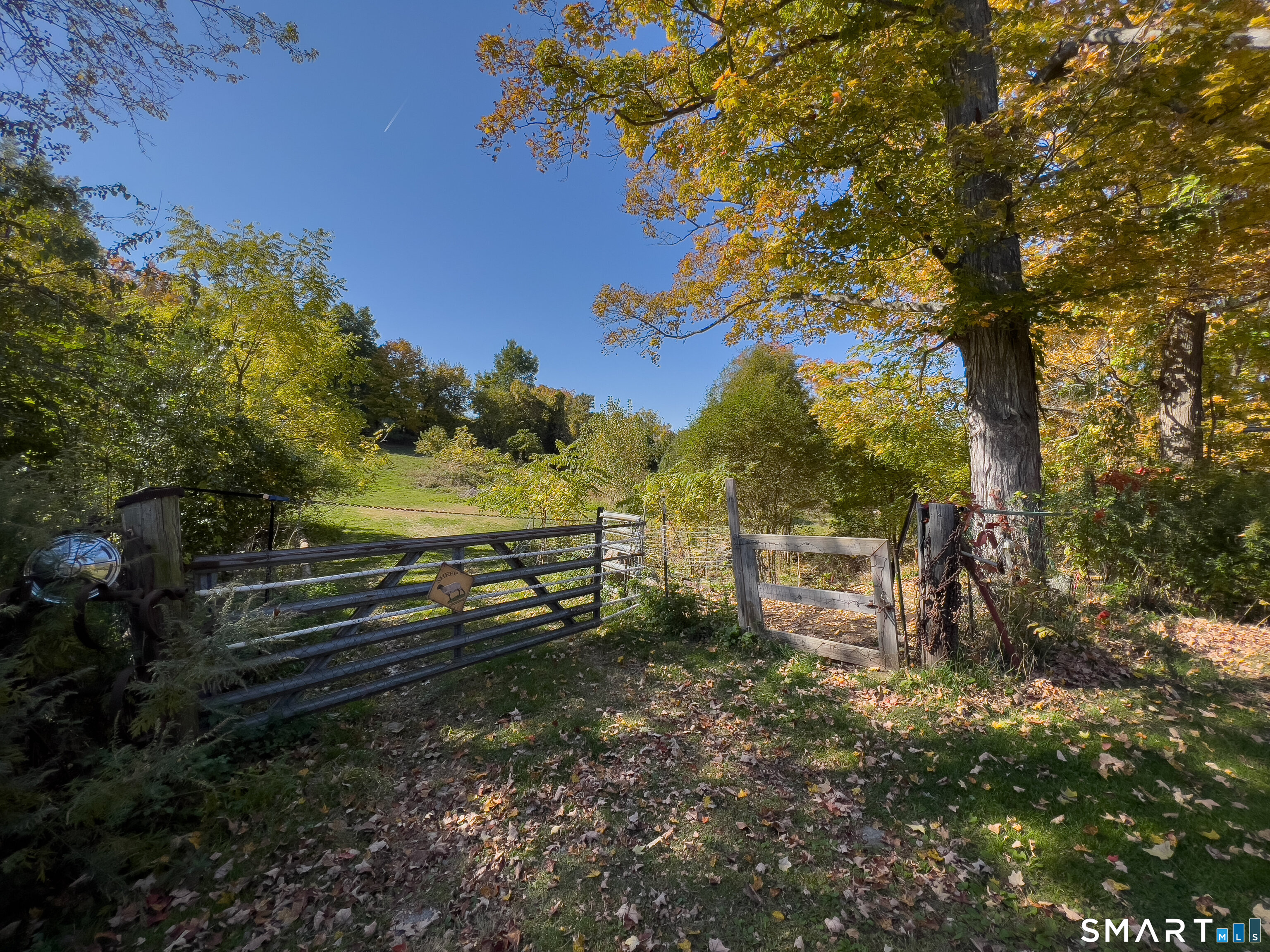 63 Currituck Road Newtown, CT 06470 - Photo 10 of 10 a view of a yard with wooden fence