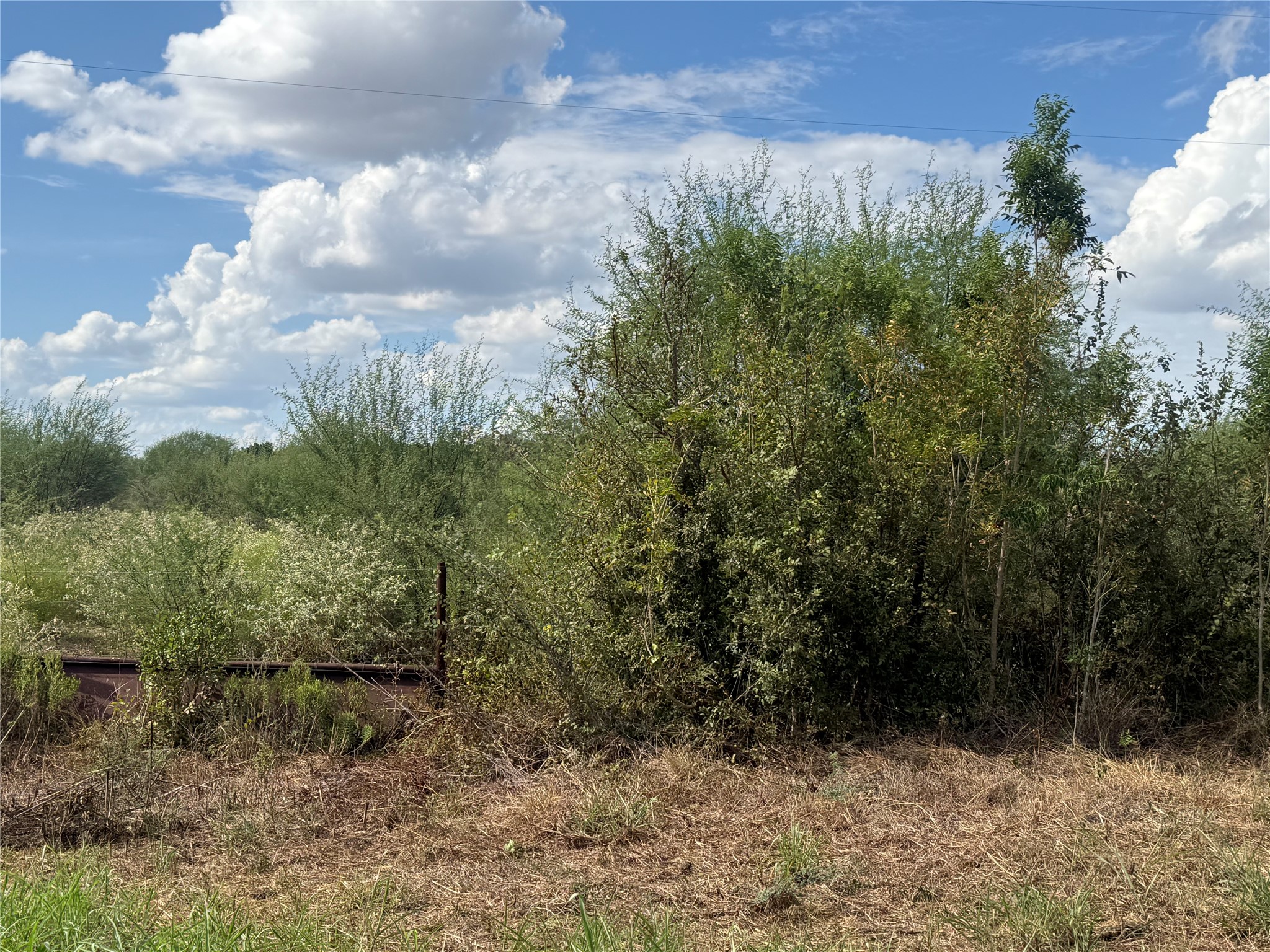 Mature trees and native brush frame a private rural landscape under a wide blue sky.