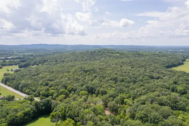 a view of a green field