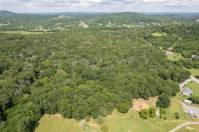 a view of a city with an aerial view of residential houses with outdoor space and trees