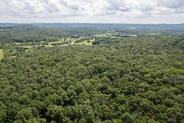 an aerial view of forest