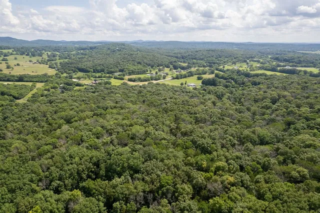 an aerial view of residential houses with outdoor space and trees