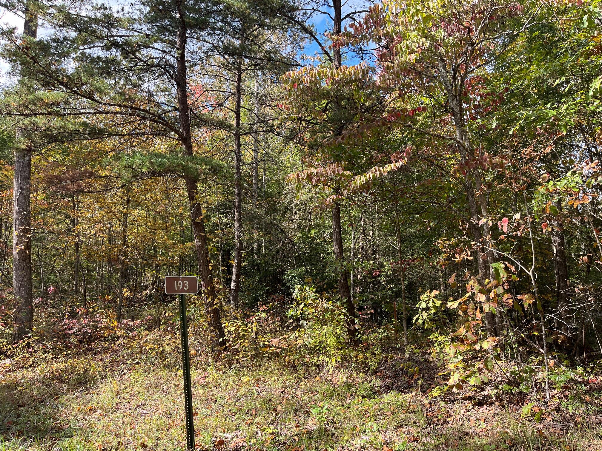 1111 Bee Creek Road Corbin, KY 40701 - Photo 6 of 38 image1 - 2025-11-26T171314.103