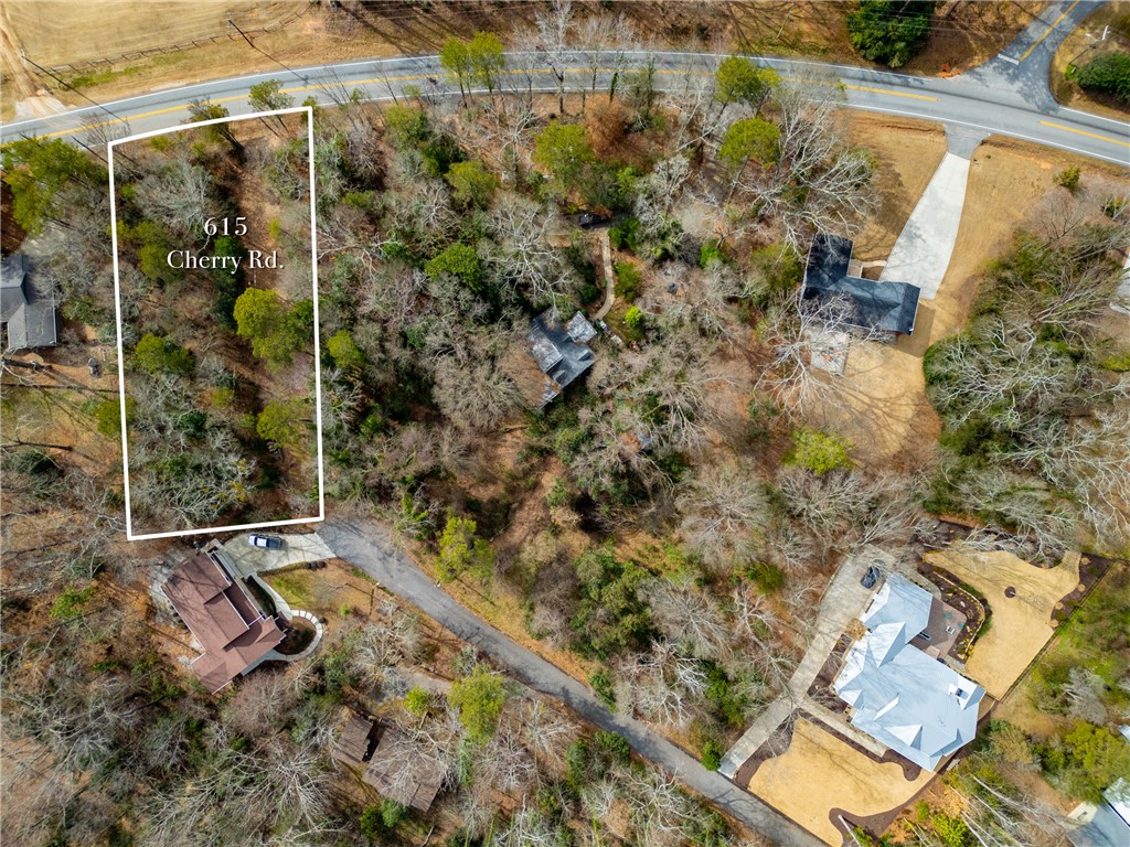 615 Cherry Road Clemson, SC 29631 - Photo 30 of 30