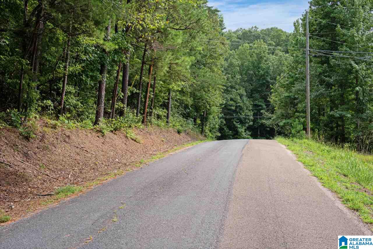 0 Harbor Light Trail, Unit 1 Jasper, AL 35504 - Photo 21 of 22