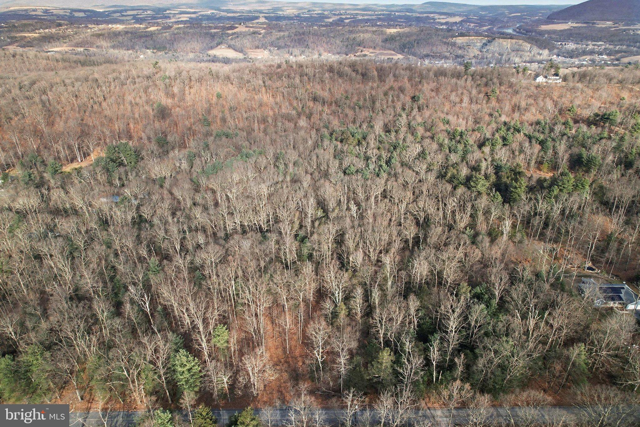 0 Hickory Ridge Road Newport, PA 17074 - Photo 12 of 18