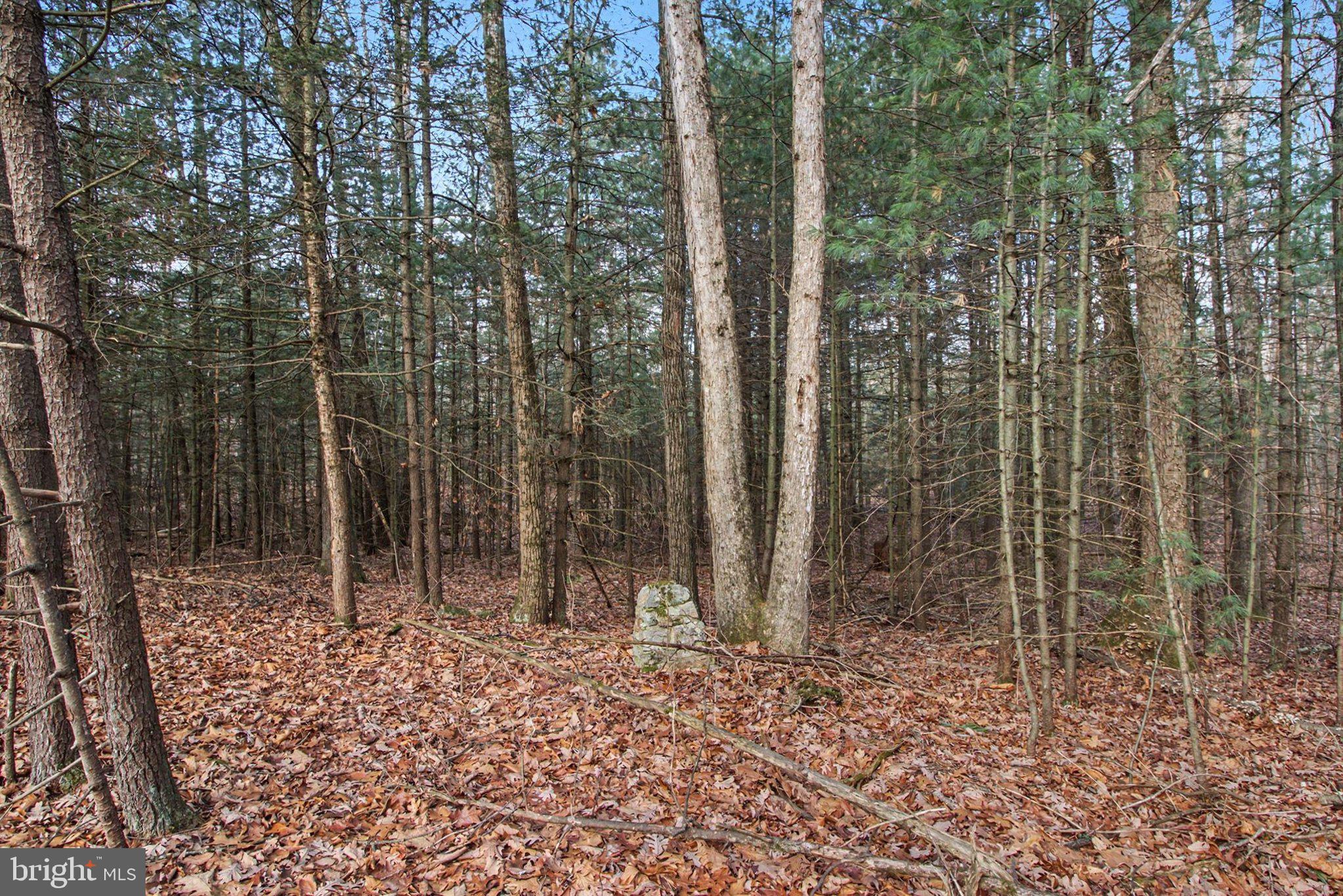 0 Hickory Ridge Road Newport, PA 17074 - Photo 2 of 18