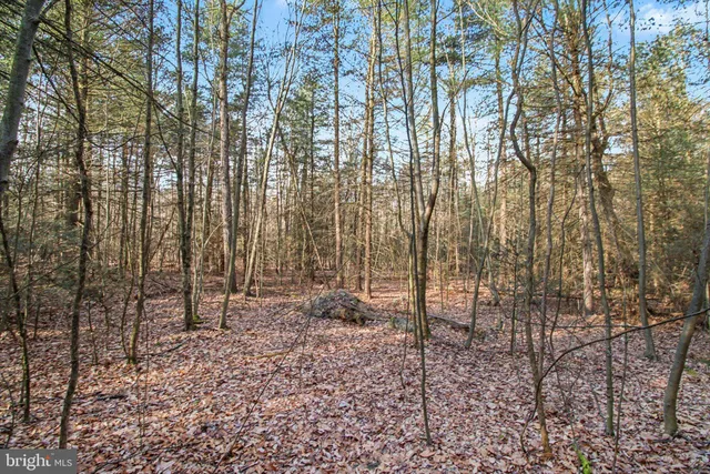 $299,000 | 0 Hickory Ridge Road, Newport, PA 17074