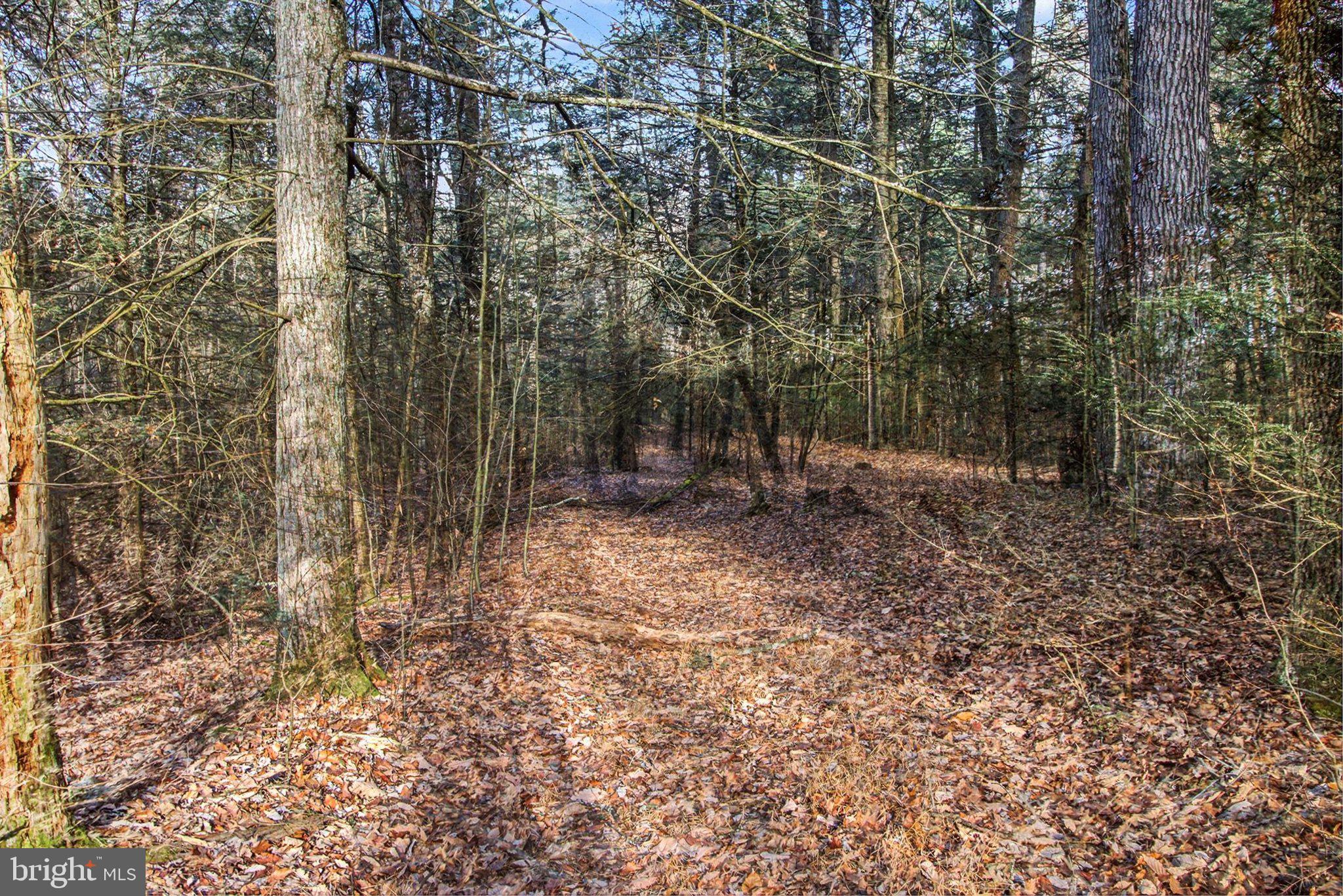 0 Hickory Ridge Road Newport, PA 17074 - Photo 4 of 18